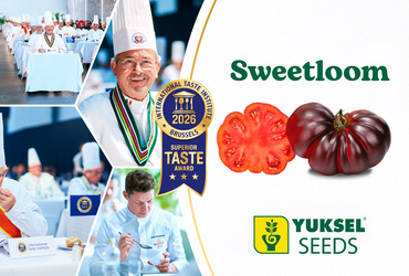 Sweetloom reaffirms its excellence in taste