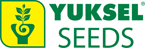 Yuksel Seeds