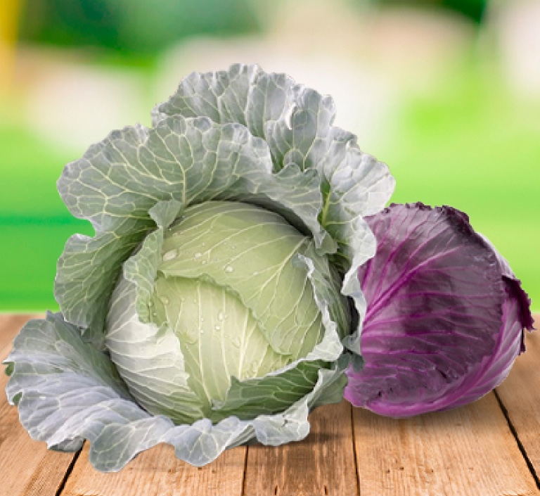 Cabbage