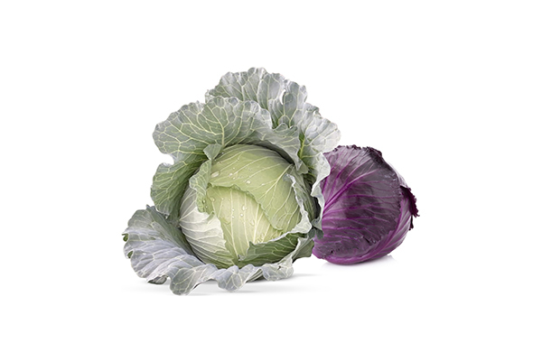 Cabbage