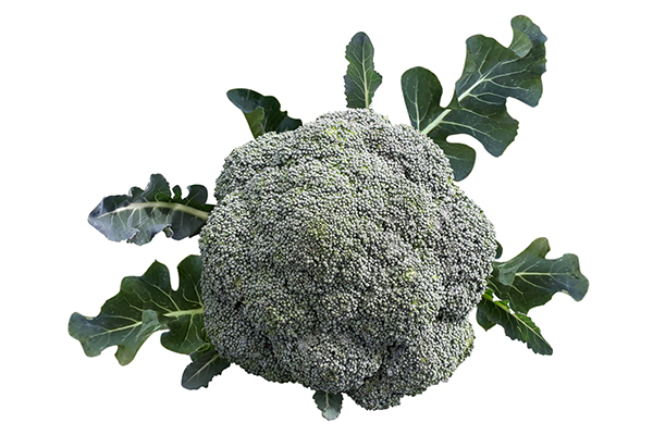 Broccoli