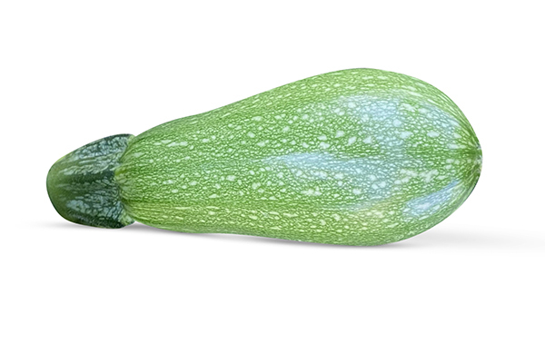 Squash